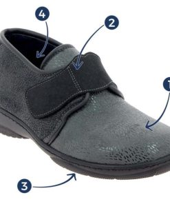 Hectorclaus.shop00d329cecb 1