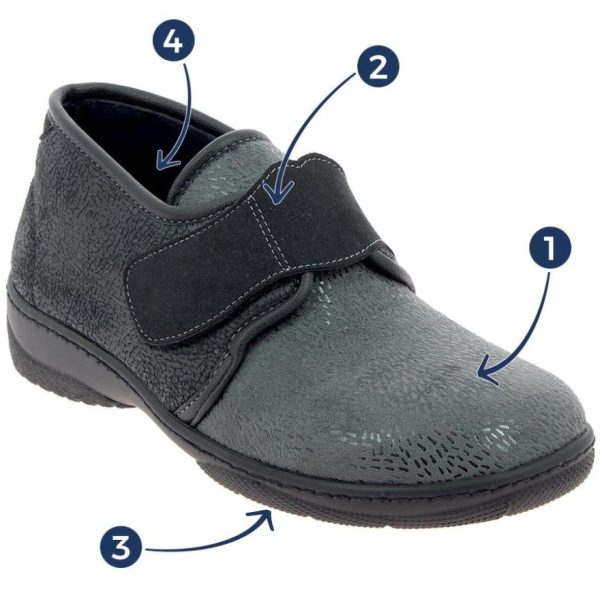 Hectorclaus.shop00d329cecb 1