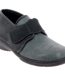 Hectorclaus.shop00d329cecb 2