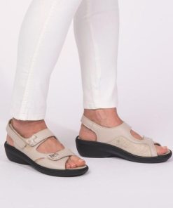 Hectorclaus.shop096763f711 1