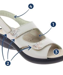 Hectorclaus.shop096763f711 2