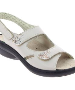 Hectorclaus.shop096763f711 3