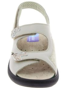 Hectorclaus.shop096763f711 4