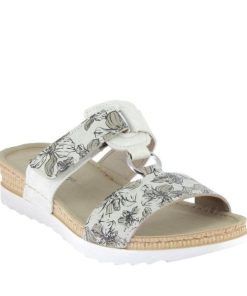 Hectorclaus.shop115453a666 1