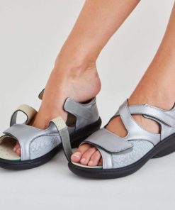 Hectorclaus.shop11d3c4271d 2