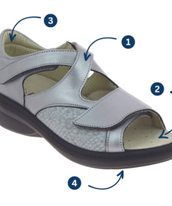 Hectorclaus.shop11d3c4271d 3