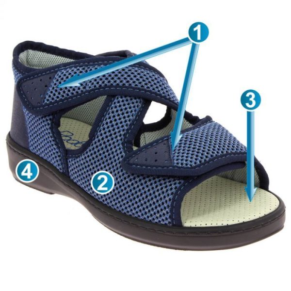 Hectorclaus.shop14f5072410 2