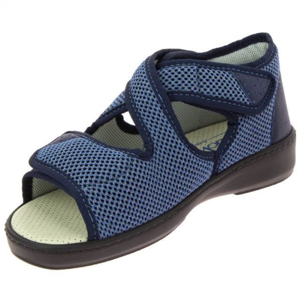 Hectorclaus.shop14f5072410 5