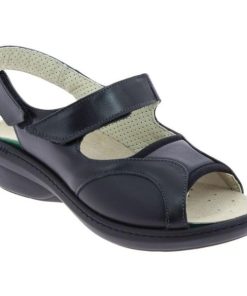 Hectorclaus.shop295b58b239 1