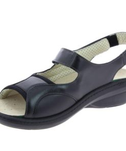 Hectorclaus.shop295b58b239 3