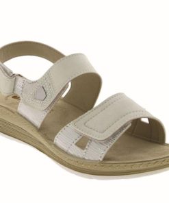 Hectorclaus.shop2cb53b909b 1