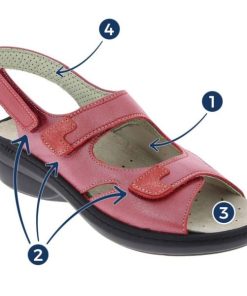 Hectorclaus.shop2cea508f0b 2