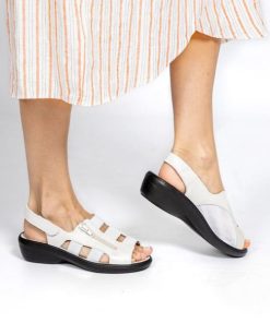 Hectorclaus.shop2cf2e91985 1