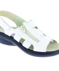 Hectorclaus.shop2cf2e91985 2