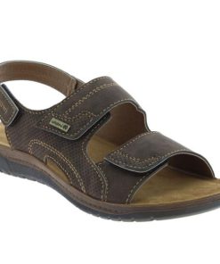 Hectorclaus.shop2e6764e5e8 1