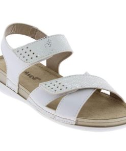 Hectorclaus.shop2fc238cb50 1