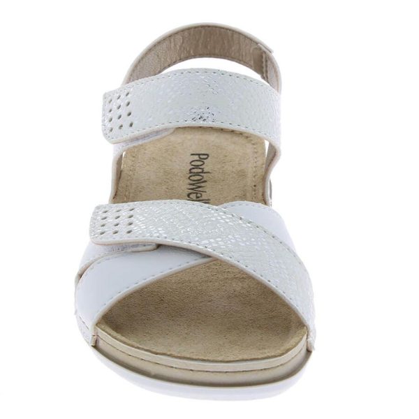 Hectorclaus.shop2fc238cb50 2