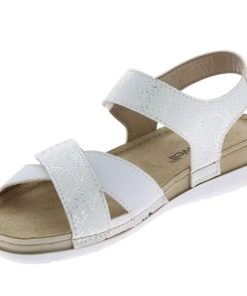 Hectorclaus.shop2fc238cb50 3