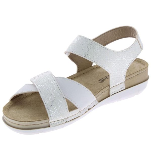 Hectorclaus.shop2fc238cb50 3