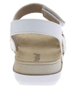 Hectorclaus.shop2fc238cb50 4