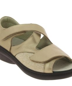 Hectorclaus.shop31e395cb34 2