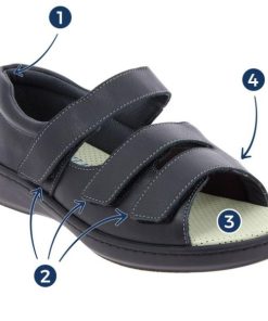 Hectorclaus.shop32811a8b1a 2