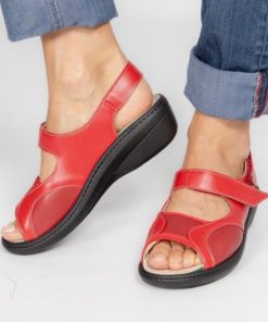 Hectorclaus.shop331fbb61e6 1