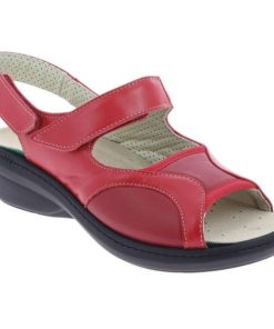 Hectorclaus.shop331fbb61e6 2