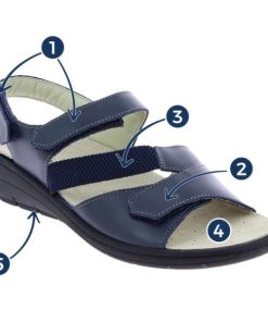 Hectorclaus.shop3d58a7d905 2