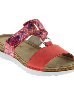 Hectorclaus.shop3f1f92233e 1