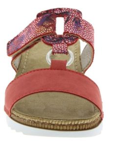 Hectorclaus.shop3f1f92233e 2