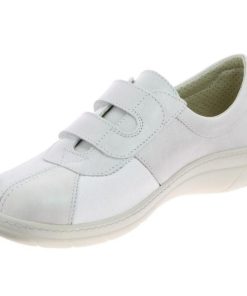 Hectorclaus.shop3f29306a04 1