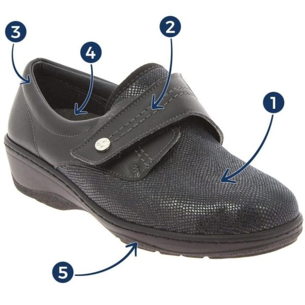 Hectorclaus.shop40770b0542 1