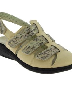 Hectorclaus.shop4a86ac3111 1