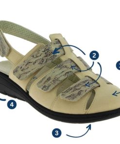 Hectorclaus.shop4a86ac3111 2