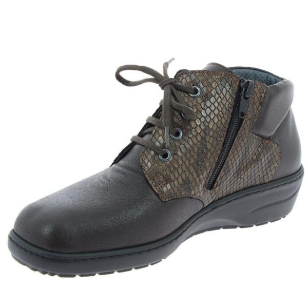 Hectorclaus.shop4c849103f2 4