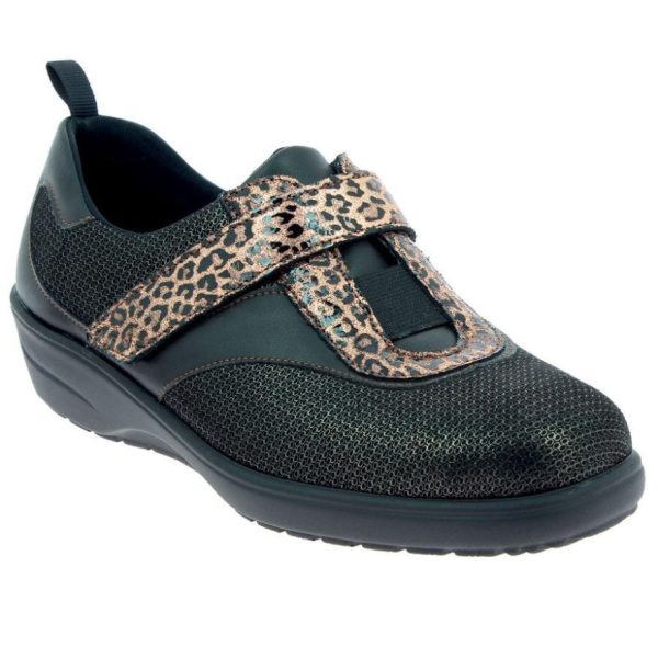 Hectorclaus.shop558cd2414b 1