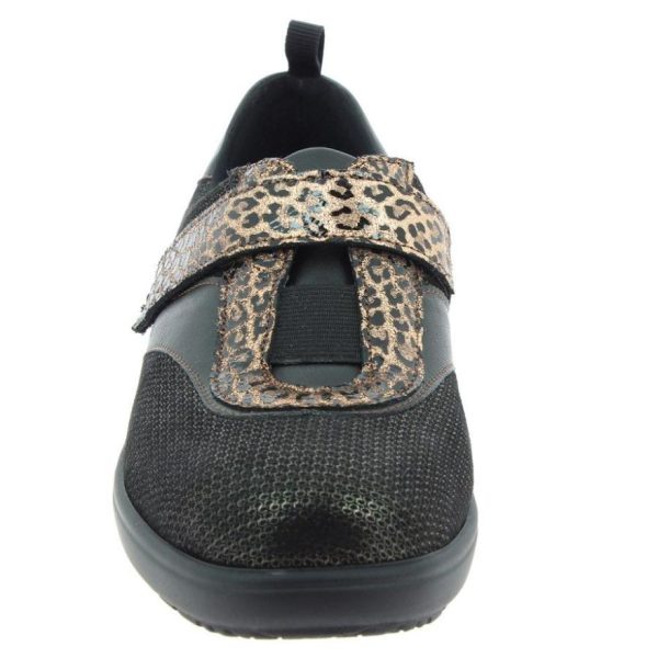 Hectorclaus.shop558cd2414b 2