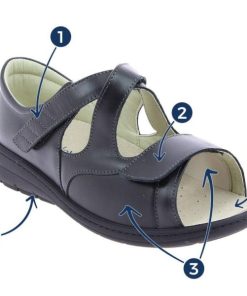 Hectorclaus.shop577643ecac 1