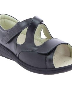 Hectorclaus.shop577643ecac 2