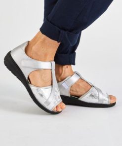 Hectorclaus.shop5f08a1076e 1