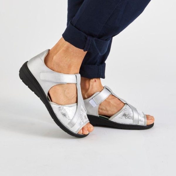 Hectorclaus.shop5f08a1076e 1