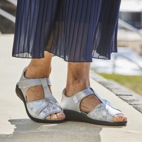 Hectorclaus.shop5f08a1076e 2