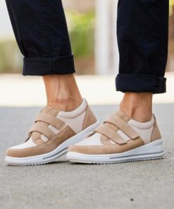 Hectorclaus.shop6229c99149 1