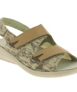 Hectorclaus.shop627bac5cac 1