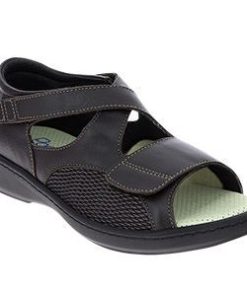 Hectorclaus.shop62bc547b9d 1