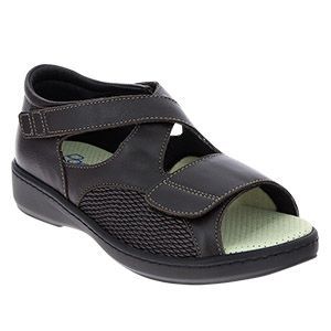 Hectorclaus.shop62bc547b9d 1