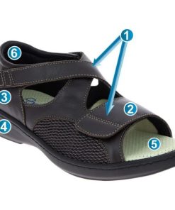 Hectorclaus.shop62bc547b9d 2