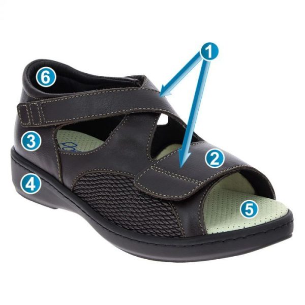 Hectorclaus.shop62bc547b9d 2