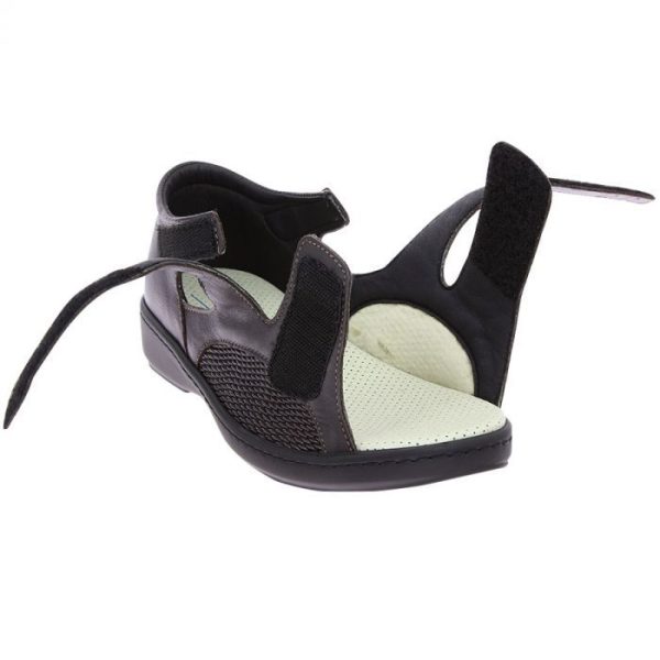 Hectorclaus.shop62bc547b9d 4